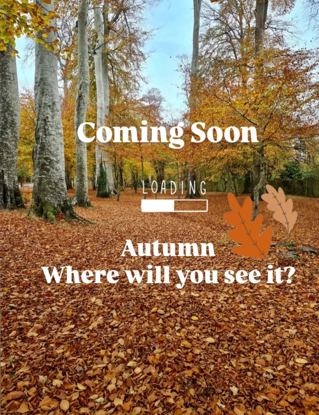 Nothing beats a crisp Autumn day in Ireland .
Make sure you get your outdoorsy getaway planned now. A few days in the Wicklow or Donegal countryside might be just the Autumn reset you need.Book now at www.anoige.ie for the best Autumn ever🍂🍁📸 Wicklow @santina_kennedy_#autumn #irishautumn #wicklow #donegal