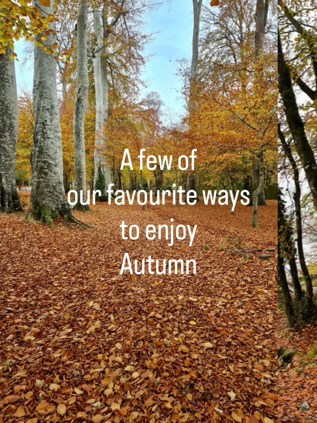 We’re excited to see the colours of Autumn in Ireland and especially to enjoy the scenery near our hostels in Wicklow and DonegalFor more details of our locations see www.anoige.ieAnd enjoy the season ! 🍂🍁