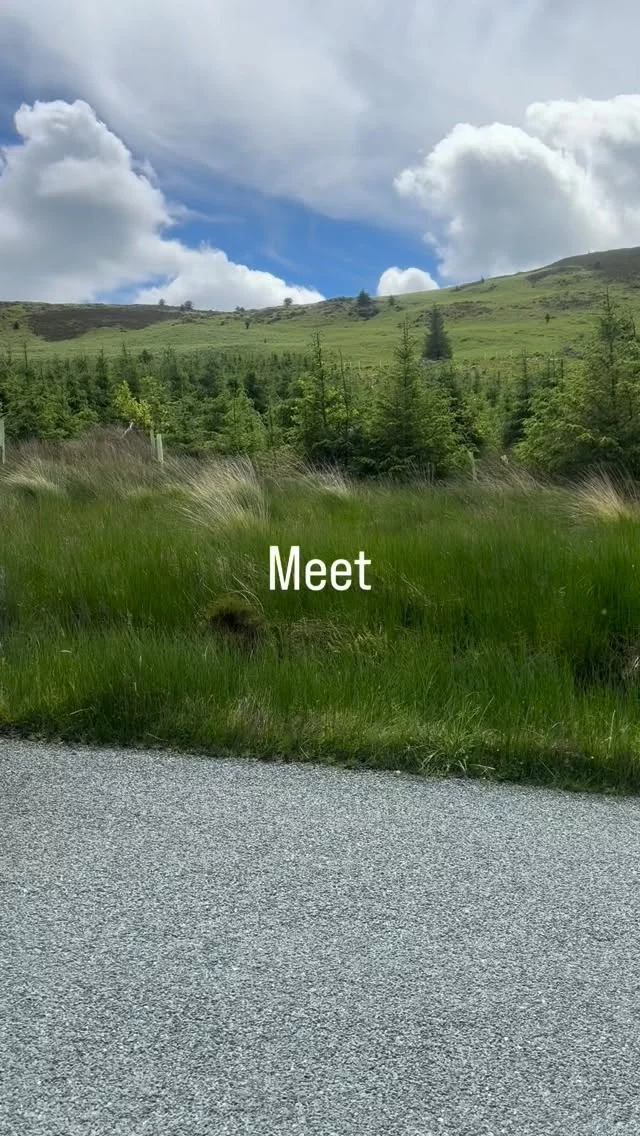 Have you met Liz ?
She’s our Business Development Manager!
If you got an idea for a group activity for team building , retreat,  or adventure,  and you require great accommodation and facilities, she’ll help you bring it to life !Contact Liz@anoige.ie